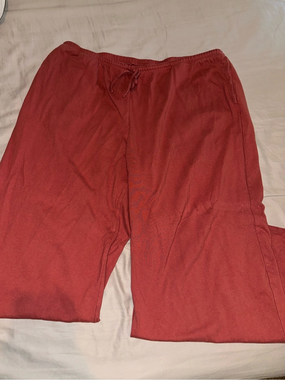 American Eagle Outfitters Straight Leg Pants in Rust Red